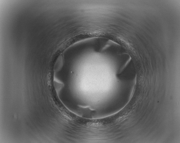 X0000072940689200608041242