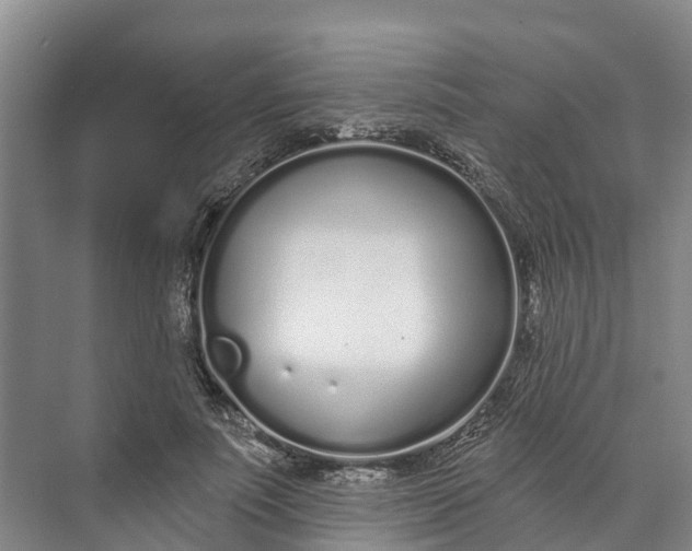 X0000072940691200608041242