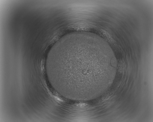 X0000072940695200608041242