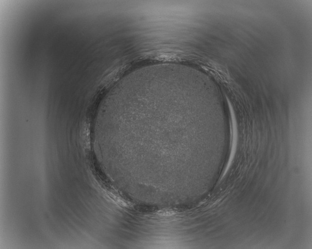 X0000072940696200608041242