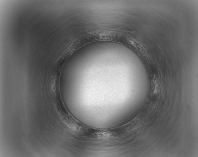 X0000072940698200608041242