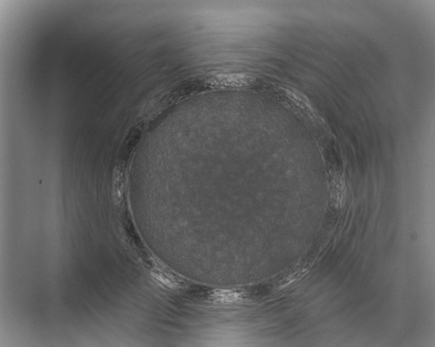 X0000072940701200608041242