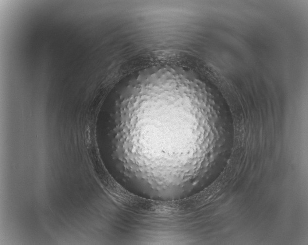 X0000072940703200608041242