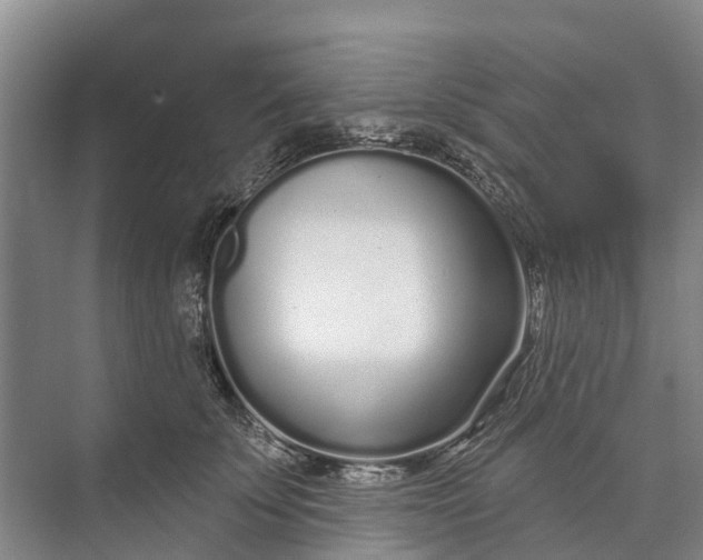 X0000072940707200608041242