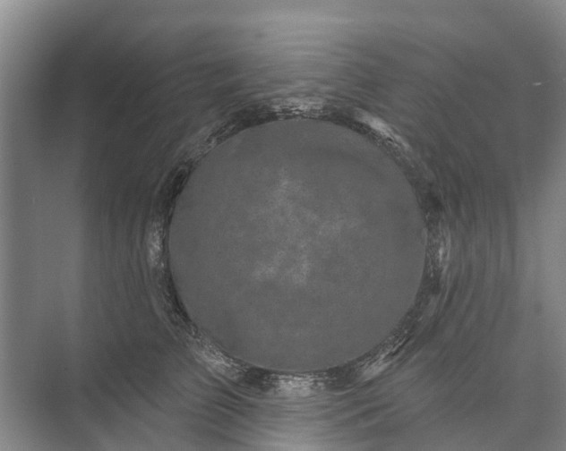 X0000072940709200608041242