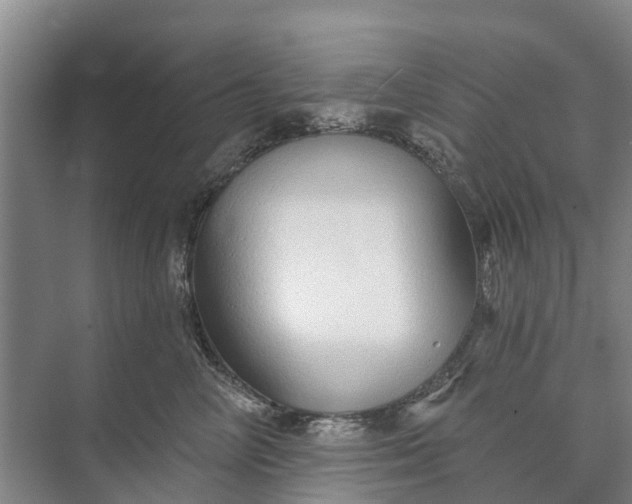 X0000072940714200608041242