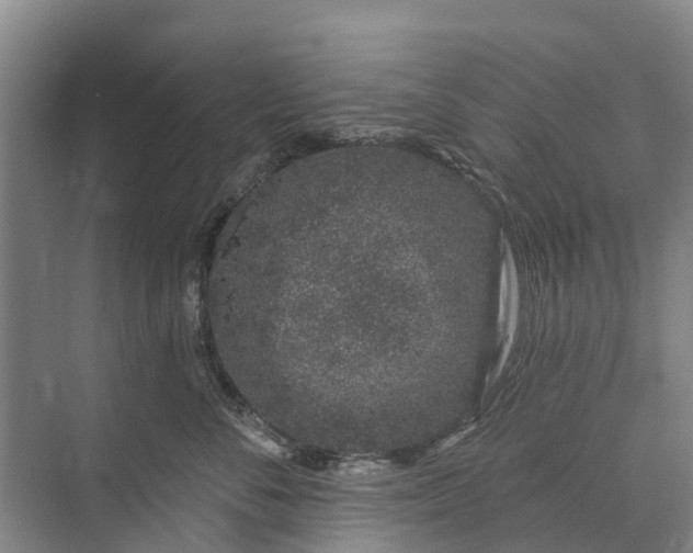 X0000072940716200608041242