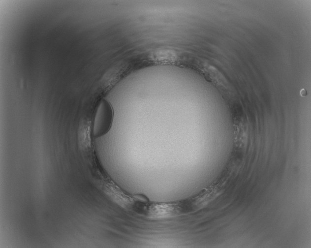 X0000072940717200608041242