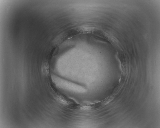 X0000072940718200608041242