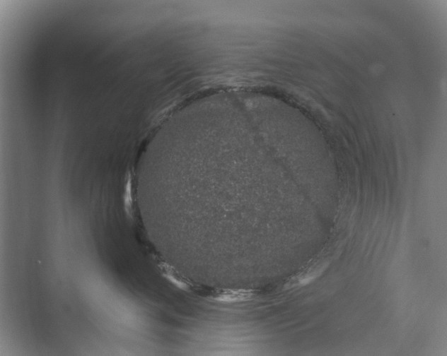 X0000072940720200608041242