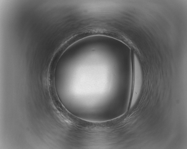 X0000072940722200608041241