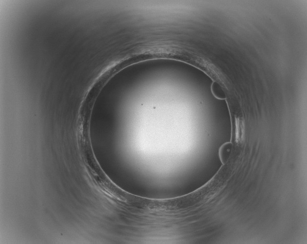 X0000072940723200608041241