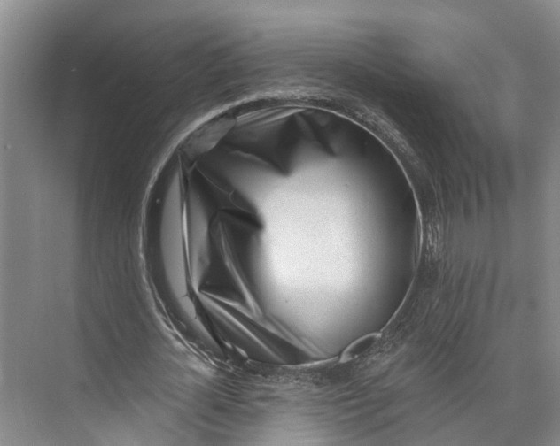 X0000072940724200608041241