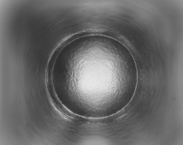 X0000072940726200608041241