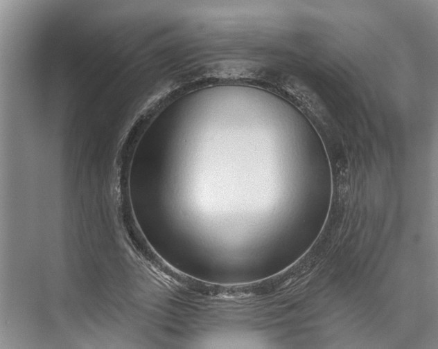 X0000072940727200608041241