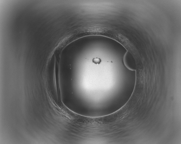 X0000072940731200608041241