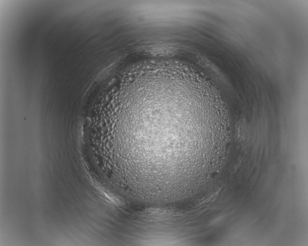 X0000072940733200608041241