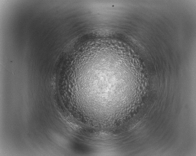 X0000072940737200608041241