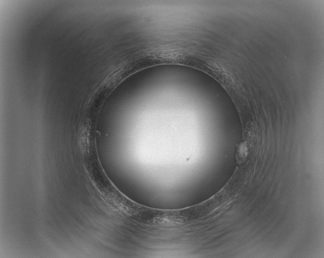 X0000072940739200608041241