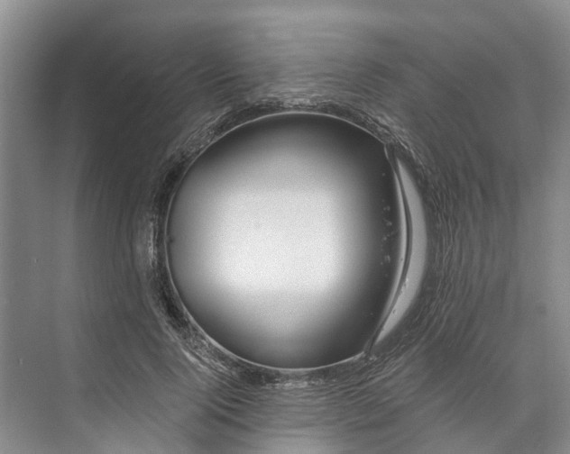 X0000072940740200608041241