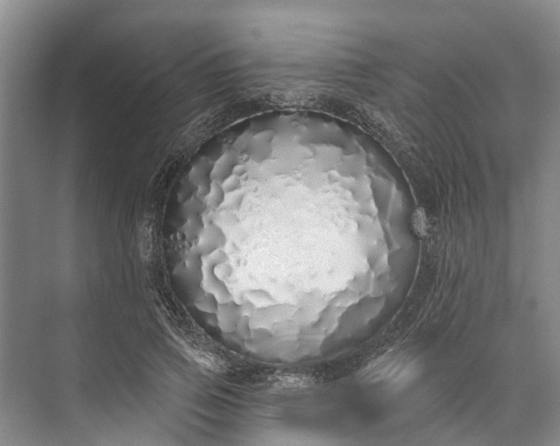 X0000072940741200608041241