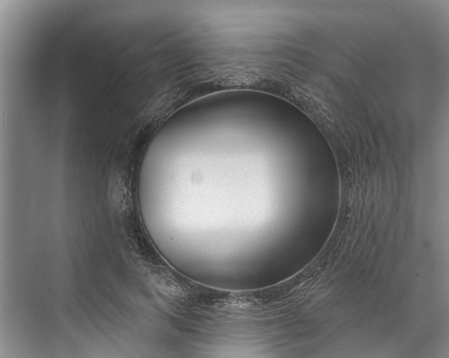 X0000072940743200608041241