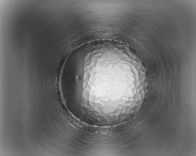 X0000072940745200608041241