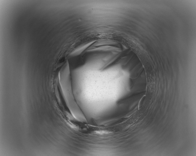 X0000072940748200608041241