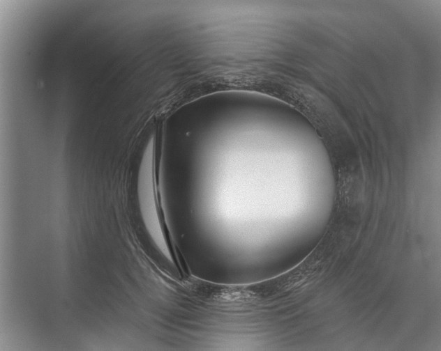 X0000072940752200608041241