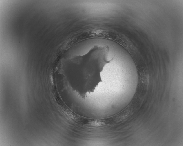 X0000072940754200608041241