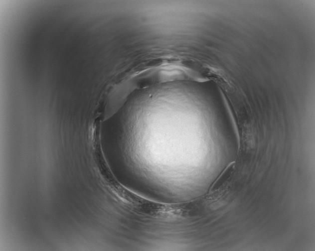 X0000072940760200608041242