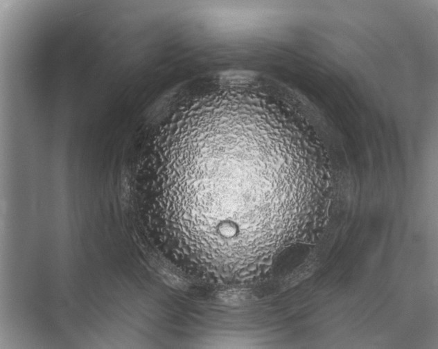 X0000072940761200608041242