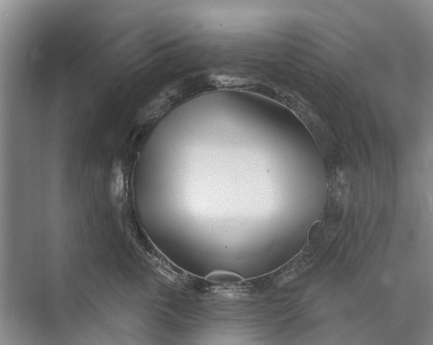 X0000072940763200608041242