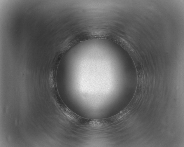 X0000072940764200608041242