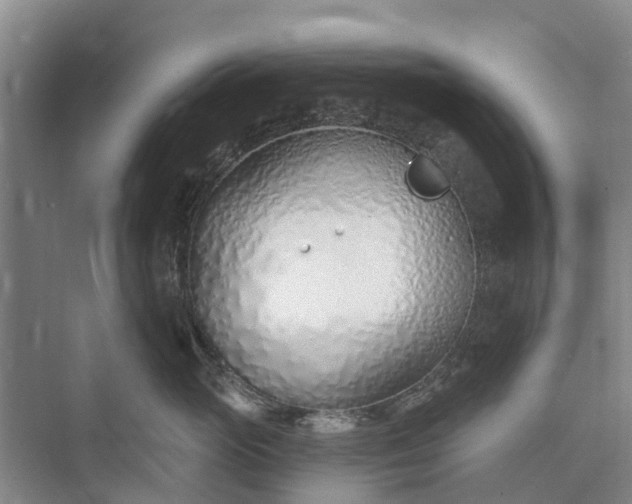 X0000072940765200608041242