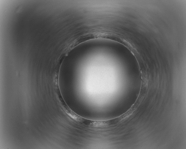 X0000072940766200608041242