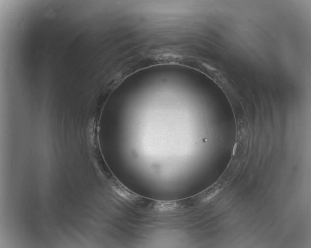 X0000072940767200608041242