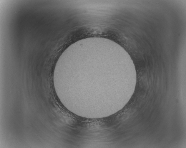 X0000072940769200608041241