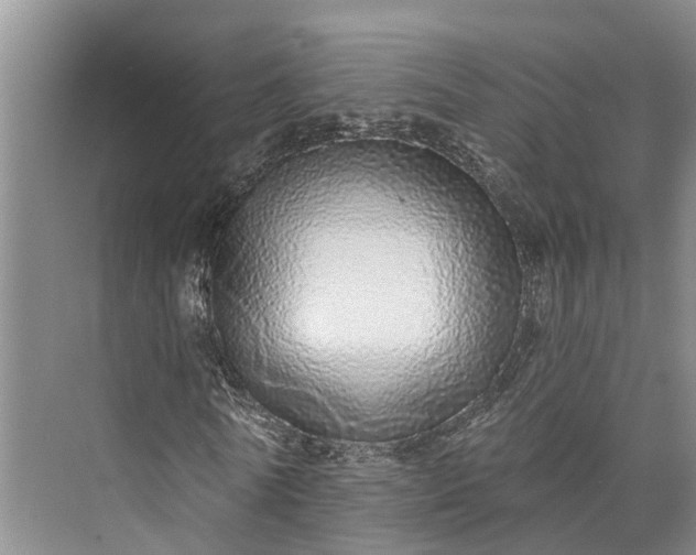 X0000072940770200608041241