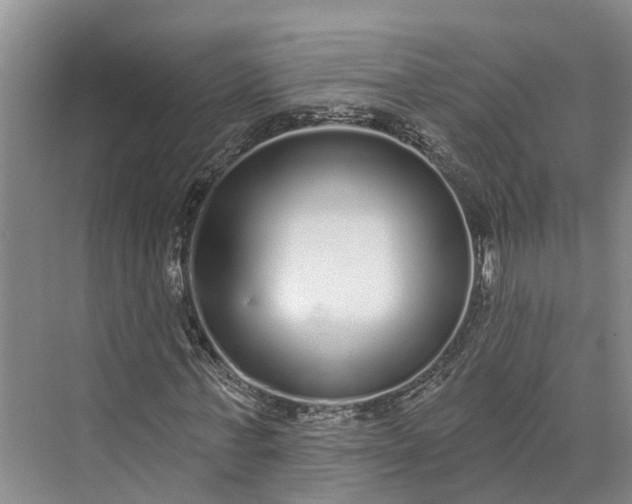 X0000072940771200608041241