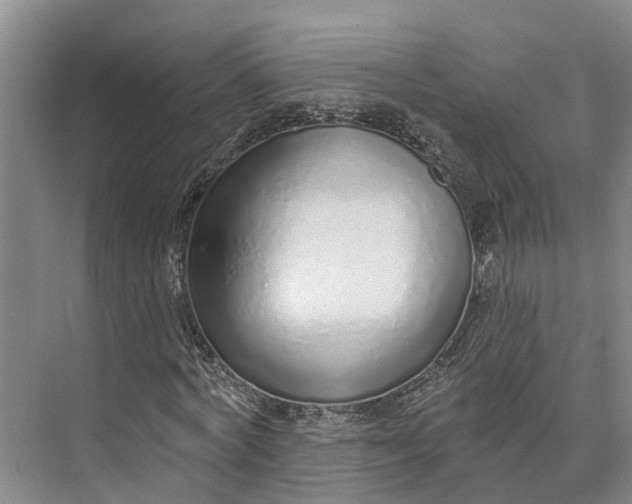 X0000072940772200608041241