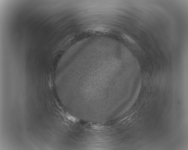 X0000072940774200608041241