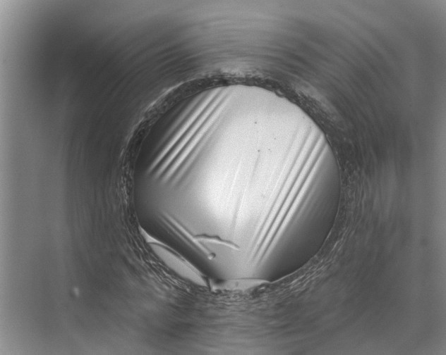 X0000072940776200608041241