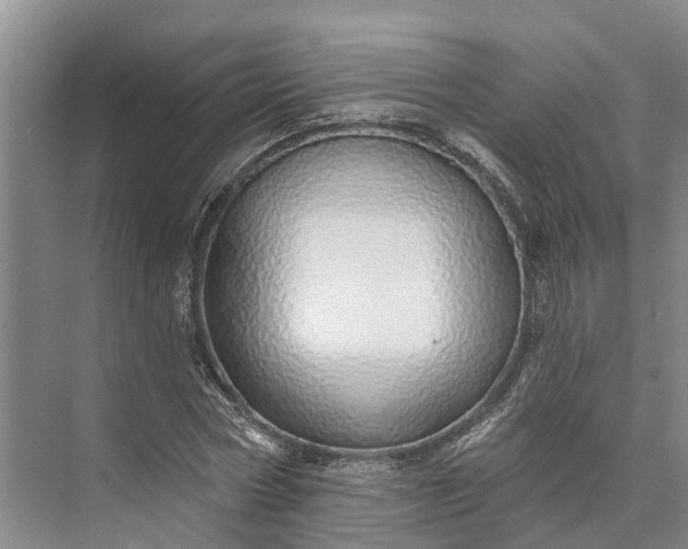 X0000072940778200608041241