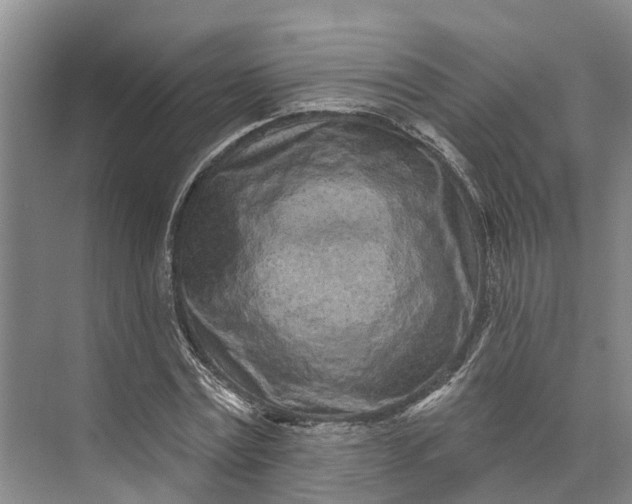 X0000072940779200608041241