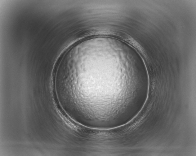 X0000072940787200608041241