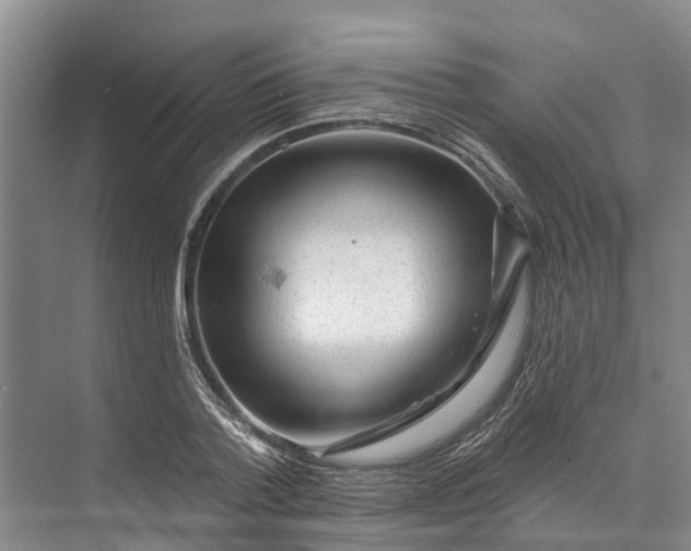 X0000072940788200608041241