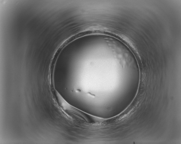 X0000072940791200608041240