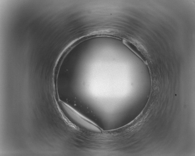 X0000072940792200608041240