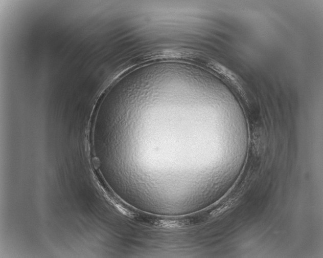 X0000072940794200608041240